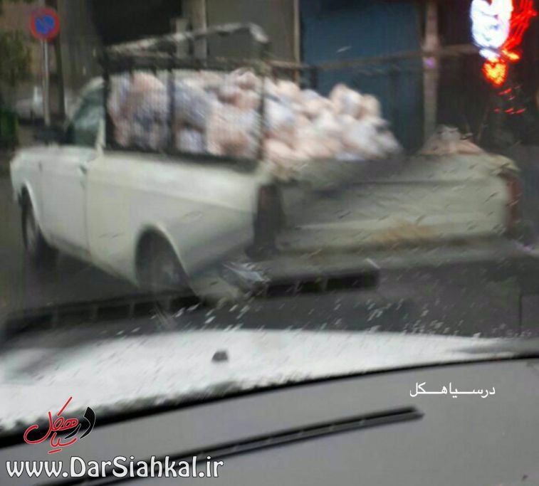 photo_2017-10-01_11-39-49