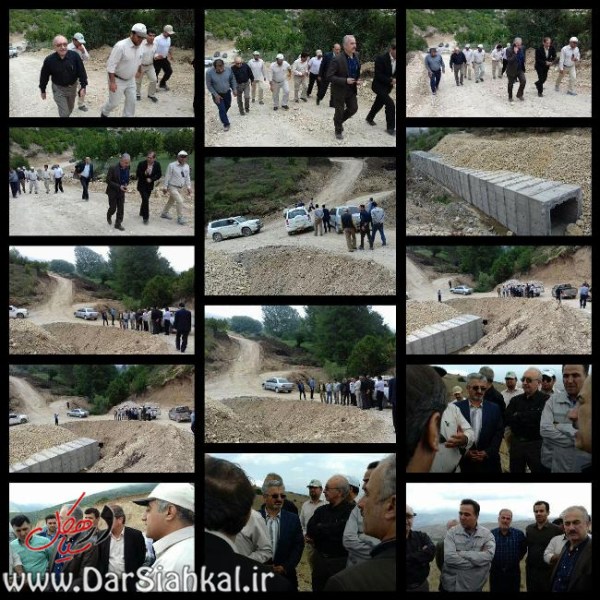 کارخانه سیمان دیلمان