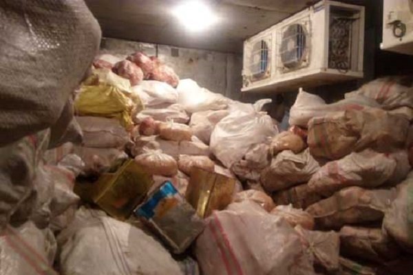 کشف ۳تن ضایعات گوشت غیرمجاز در سیاهکل