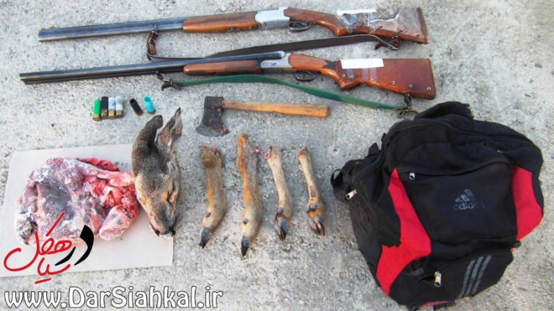 بازداشت شکارچیان شوکا در سیاهکل+عکس