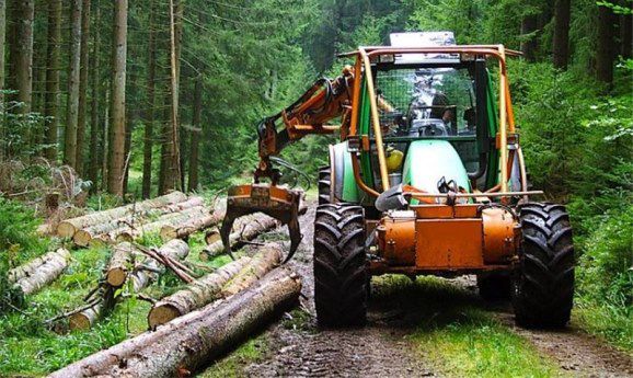 توقف بهره برداری از جنگل افتخار منابع طبیعی گیلان است