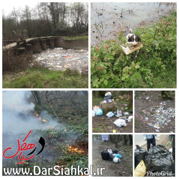 گیلان ما حیاط‌خلوت شما نیست هم‌وطن!