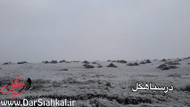 تداوم ناپایداری هوا/ بارش دومین برف بهاری در دیلمان