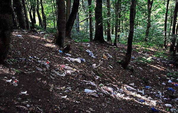 نوروزی که بیشتر از آجیل افسوس خوردیم