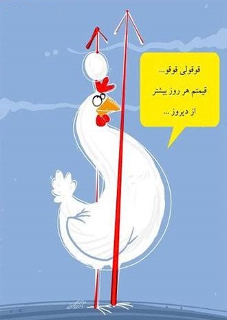 پرواز مرغ‌های گیلان با بال‌های افزایش قیمت!