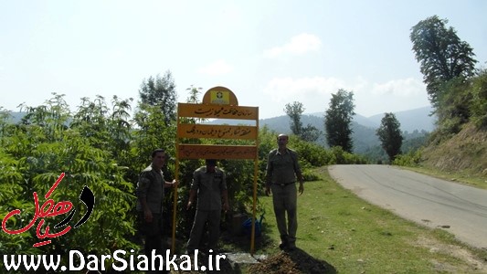 نصب ۵ تابلو در منطقه شکارممنوع دیلمان-درفک