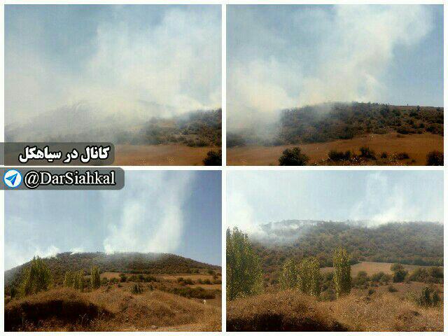 ۱۴ هکتار از عرصه های جنگلی دیلمان در آتش سوخت/ علت آتش‌سوزی عامل انسانی و عمدی بود