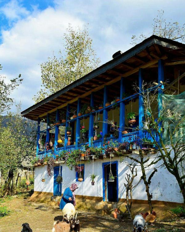 بوم گردی؛ فرصتی برای تجربه زندگی در طبیعت سیاهکل