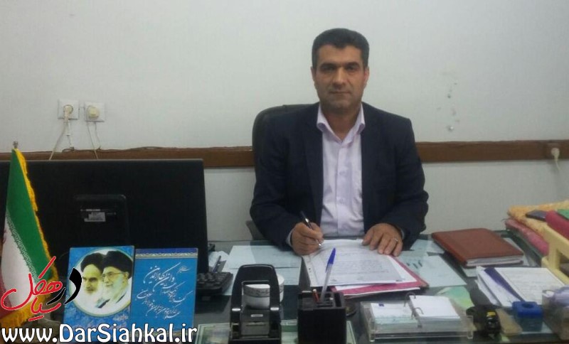 ۹۵ درصد مطالبات چای‌کاران سیاهکل پرداخت شد