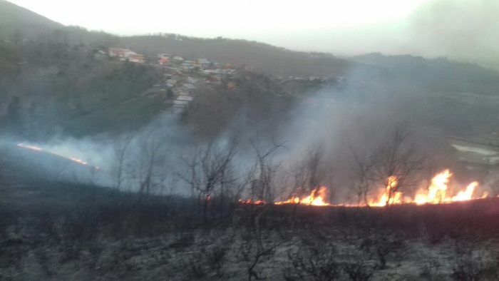 ۶ نقطه از جنگل‌های سیاهکل آتش گرفت