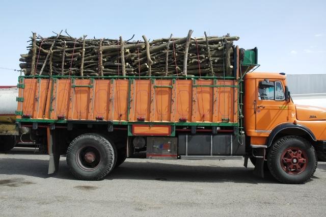 کشف محموله چوب قاچاق درسیاهکل