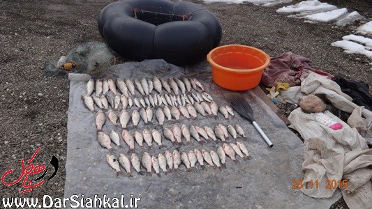 تورآلات و ادوات غیرمجاز صید درسیاهکل جمع‌آوری شد