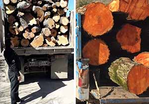 کشف ۱۲ تن چوب قاچاق درسیاهکل