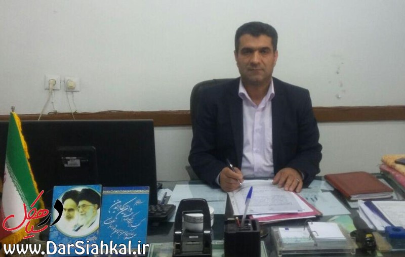 ۷ میلیارد ریال تسهیلات به چای‌کاران سیاهکل پرداخت شد