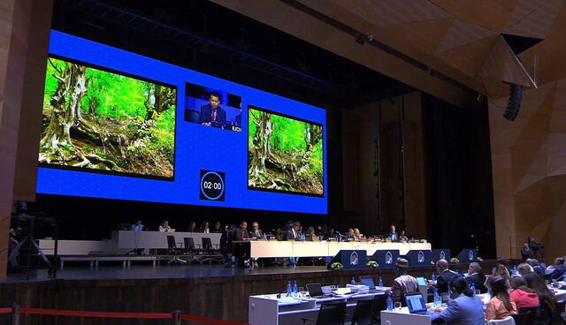 جنگل‌های هیرکانی سیاهکل ثبت جهانی شد