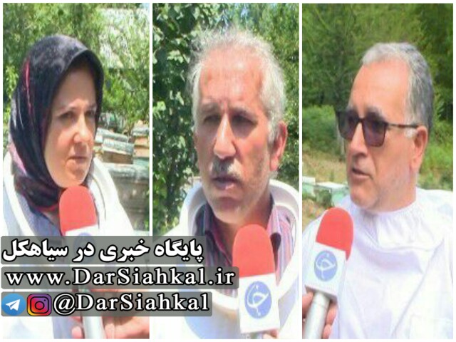 شیرینی زنبورداری به کام زنبورداران سیاهکلی