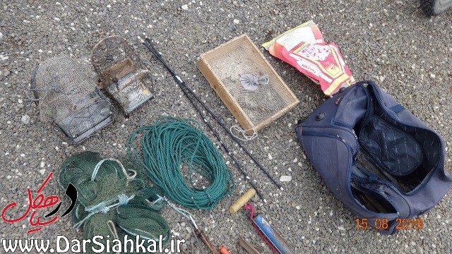 دستگیری متخلفین زنده گیری سهره درسیاهکل