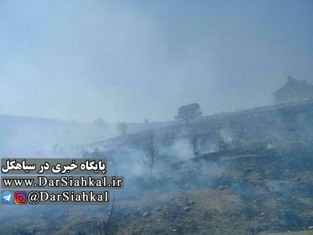 آتش‌سوزی ۳۰ هکتار زمین‌های دیلمان