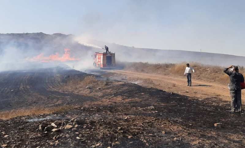 بخشدار: آتشسوزی ۱۲۰ هکتار زمینهای دیلمان