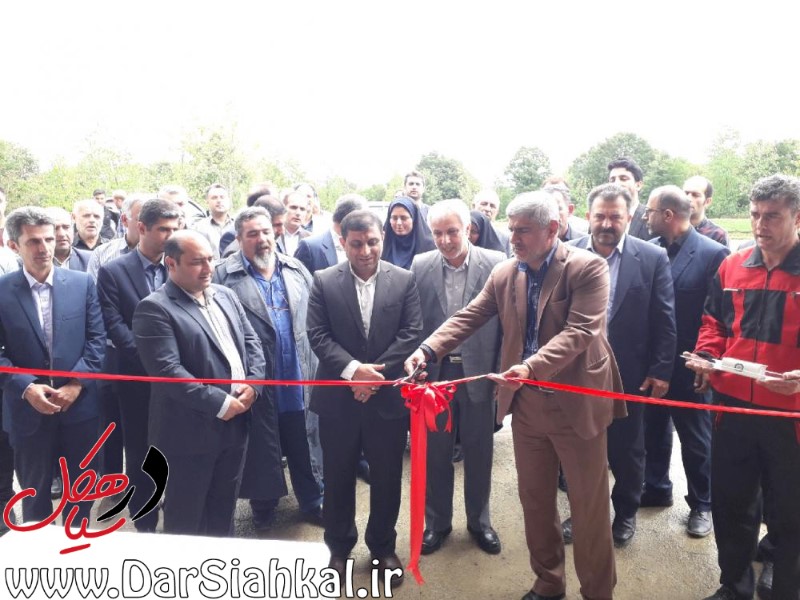 افتتاح مجموعه پرورش ماهیان خاویاری درسیاهکل+عکس