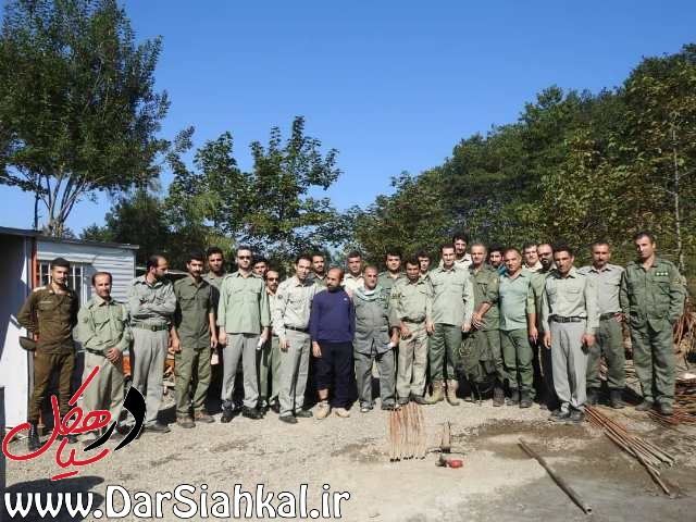 سرشماری تابستانه مرال در زیستگاه‌های حوزه سیاهکل انجام شد/ افزایش جمعیت مرال ها درسیاهکل