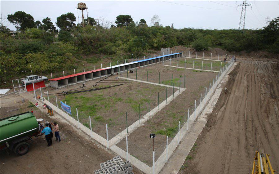 احداث اولین پناهگاه ویژه نگهداری سگ‌های ولگرد گیلان توسط شهرداری انزلی