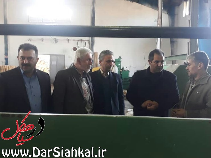 رونق تولید پس از ۱۵ سال تعطیلی «شرکت چوب و کاغذ لاهیج پارسیان» در سیاهکل
