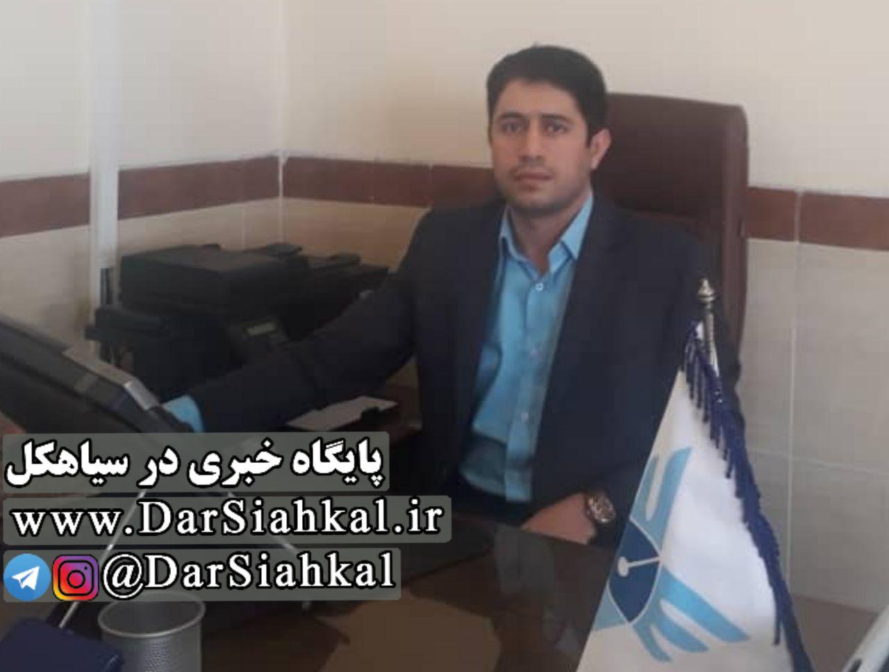 «محمد پاشایی فشتالی» سرپرست دانشگاه آزاد سیاهکل شد + رزومه و حکم