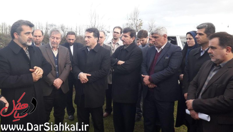 معاون هماهنگی امور اقتصادی و توسعه منطقهای وزیر کشور از پروژه شهرک کشاورزی دیسام سیاهکل بازدید کرد