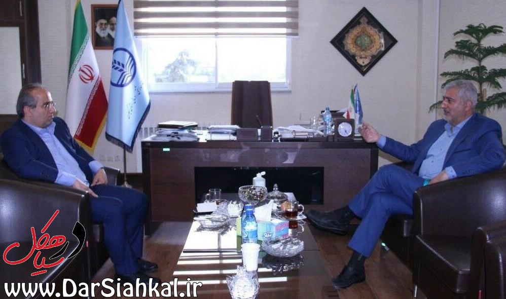 زیرساختهای بهداشت و درمان سیاهکل و دیلمان تقویت میشود