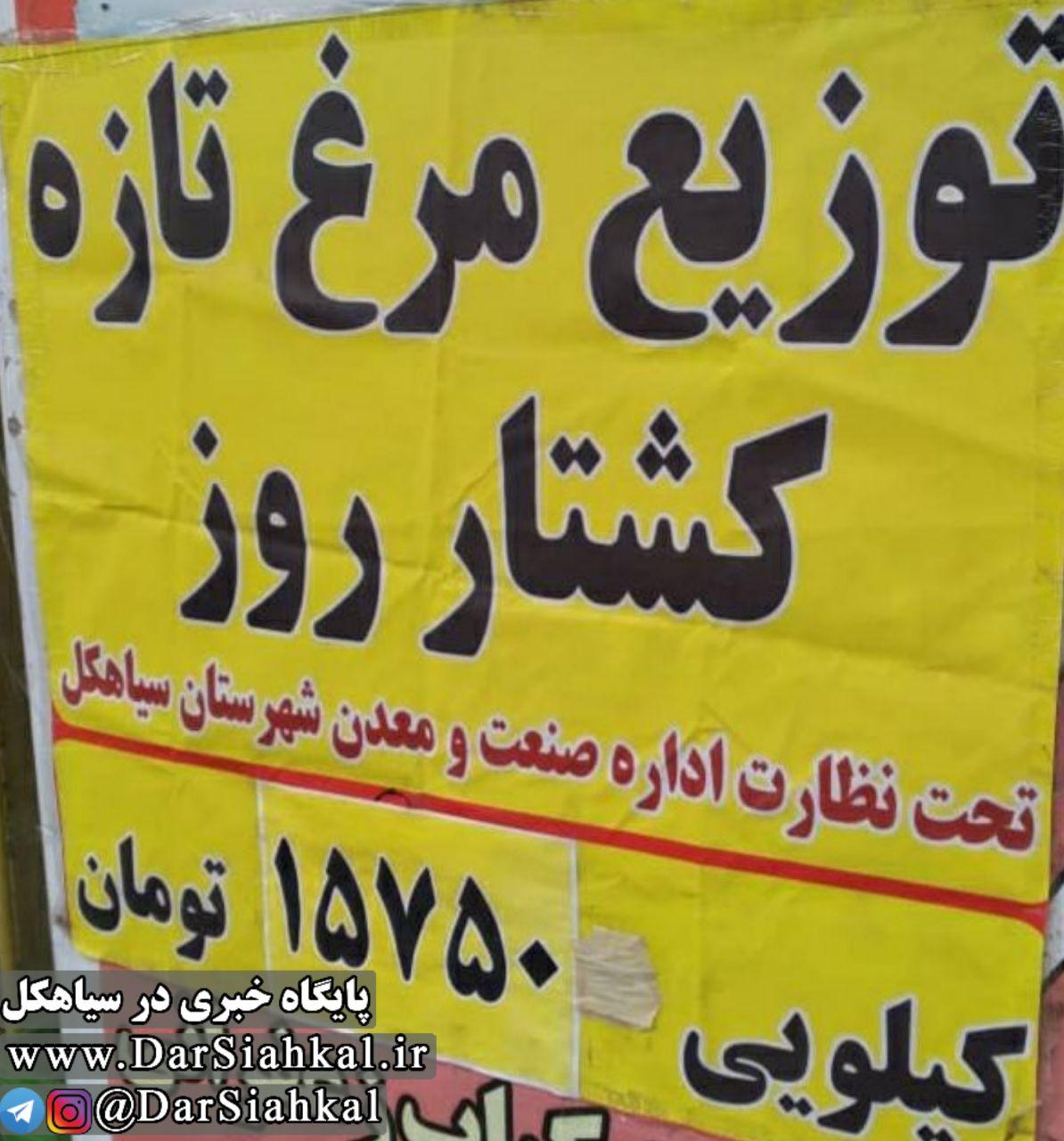 قیمت مصوب هر کیلو مرغ گرم درسیاهکل ۱۵۷۵۰ تومان