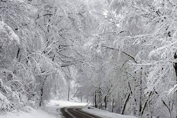 بارش برف شدید در جاده دیلمان- سیاهکل/ تردد تنها با زنجیر چرخ