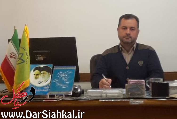 تمامی مطالبات چای‌کاران سیاهکلی پرداخت شد