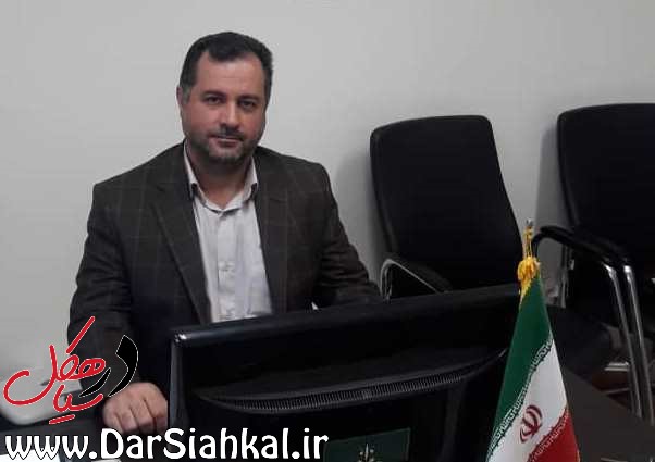 ۹۰ درصد از مطالبات چایکاران سیاهکلی پرداخت شد