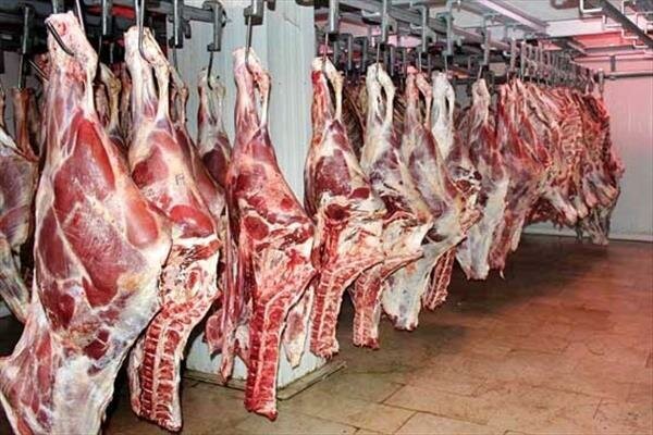 کشتار دام در مناطق ییلاقی فقط در جیرنده و دیلمان مجاز است