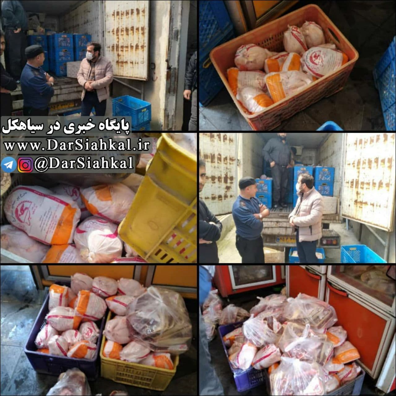 کشف ۱۸۰۰ کیلوگرم مرغ دولتی درسیاهکل