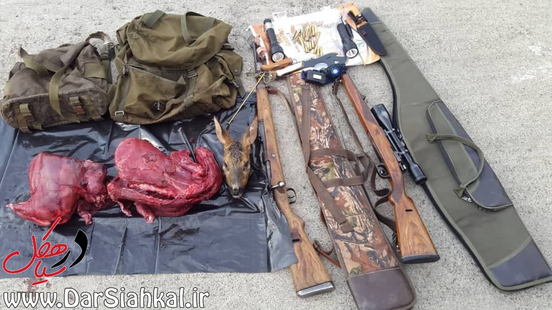 شکارچیان شوکا در سیاهکل دستگیر شدند