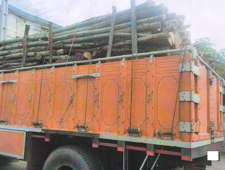 ناکامی قاچاقچی چوب در جاده سیاهکل – سنگر