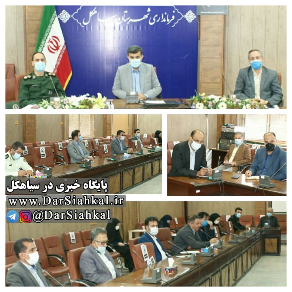 پاسخ مثبت و فوری فرماندار به درخواست حامیان حیوانات سیاهکل/ فرماندار سیاهکل: موضوع سگ های بدون صاحب ظرف مدت یک هفته تعیین تکلیف نهایی شود + متن نامه