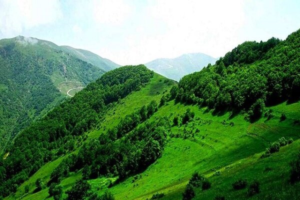 احیای ۹۱ هکتاری جنگل تخریب شده لیشک سیاهکل