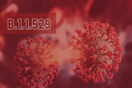 ۵ شهرستان گیلان قرمز شد