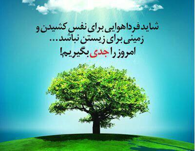 همه حامی محیطزیست هستیم
