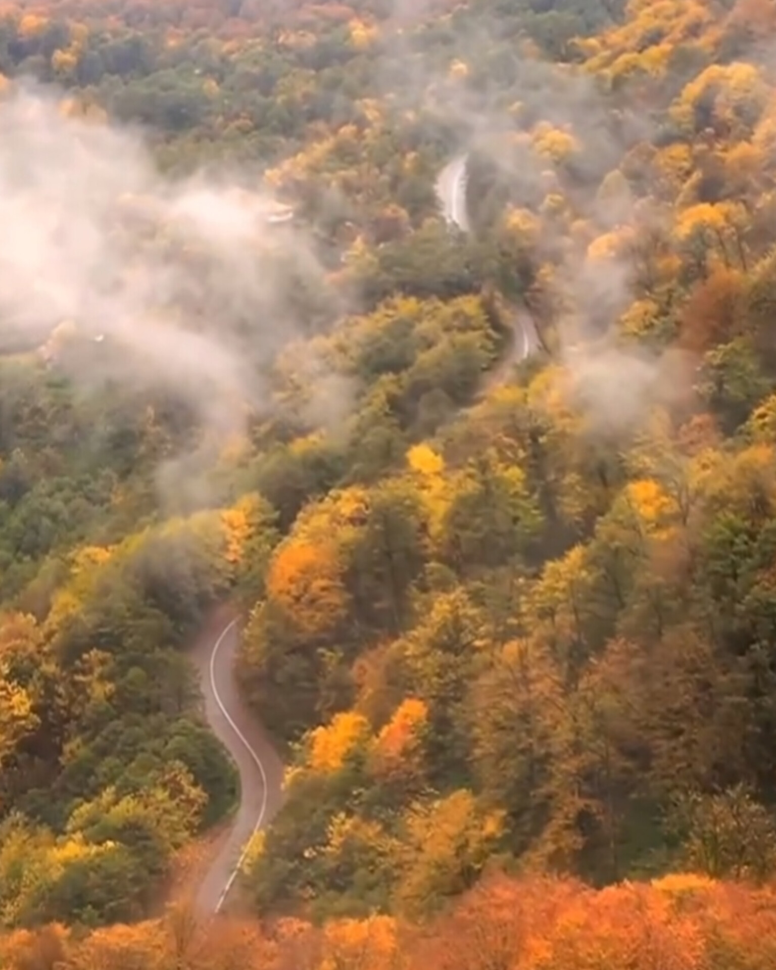 ویدئو/ پاییز رؤیایی جاده دیلمان