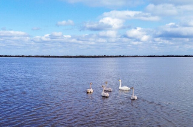 «بوجاق» در مسیر احیا قرار گرفت
