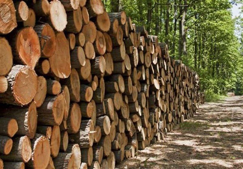 ۹۱۶ متر مکعب چوب قاچاق در تور یگان حفاظت منابع طبیعی گیلان