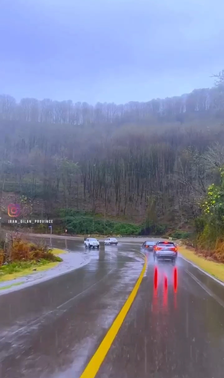 فیلم / تجربه رانندگی در جاده جنگلی سیاهکل