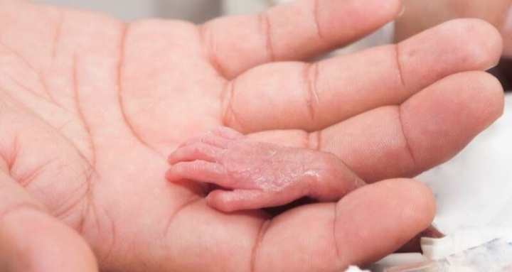 جولان کاسبان سقط دور از چشم قانون!