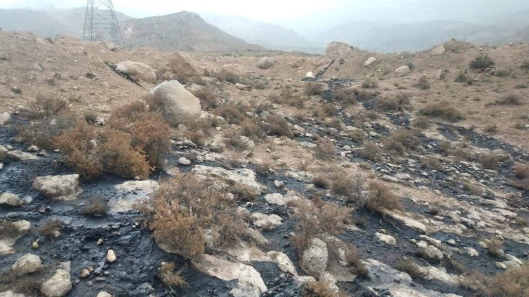 رهاسازی پسماند شیمیایی و نفتی در مناطق طبیعی رودبار؛ راننده دستگیر شد