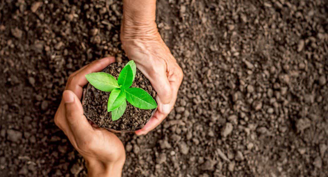 کشاورزان گیلانی برای بیمه اقدام کنند