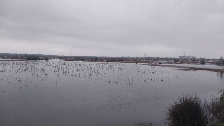 شکستن دریچه خروجی آب‌بندان مرغوب روستای کرگان شهرستان بندرانزلی